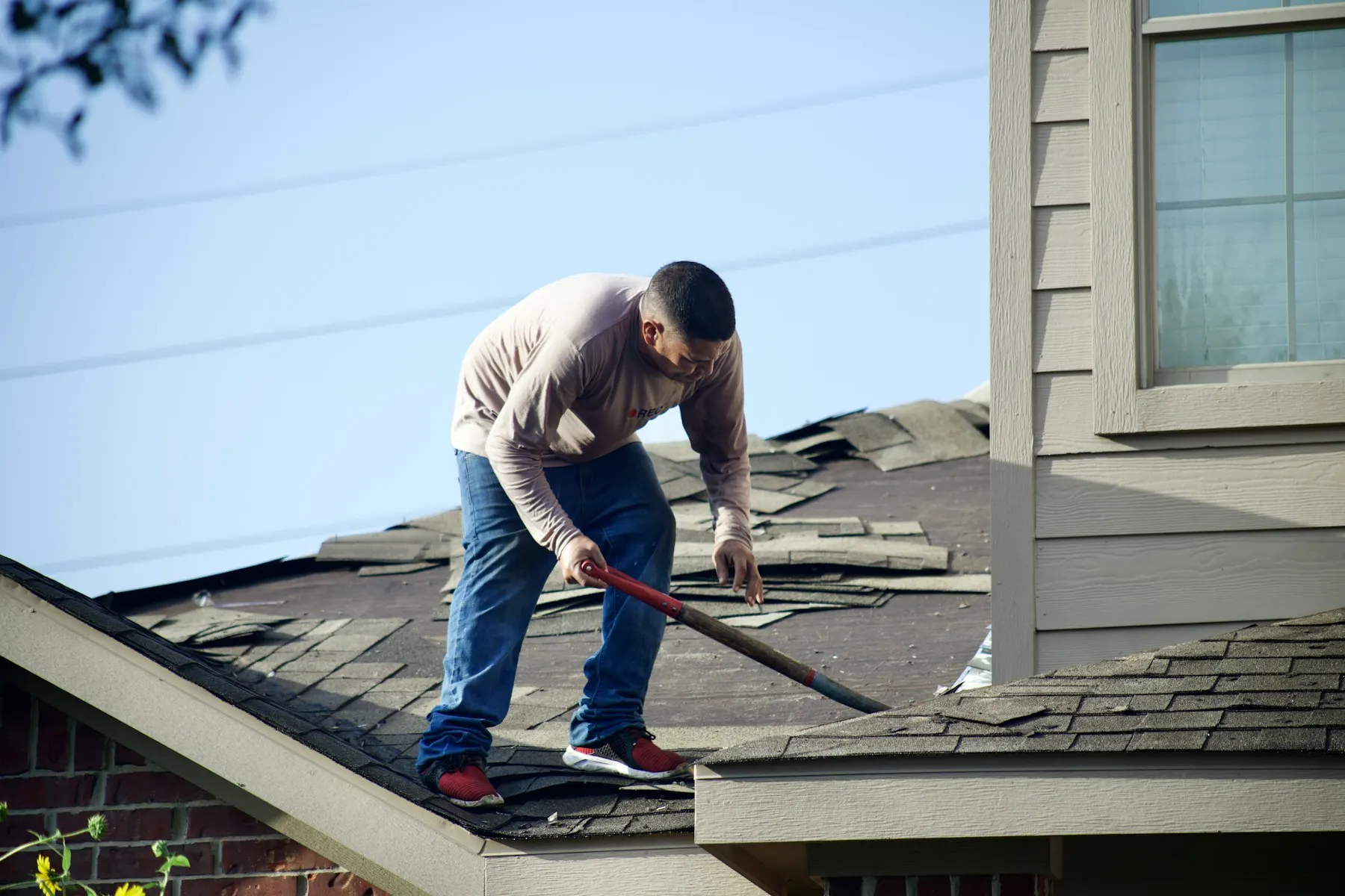 Old shingles being removed from a roof before replacement